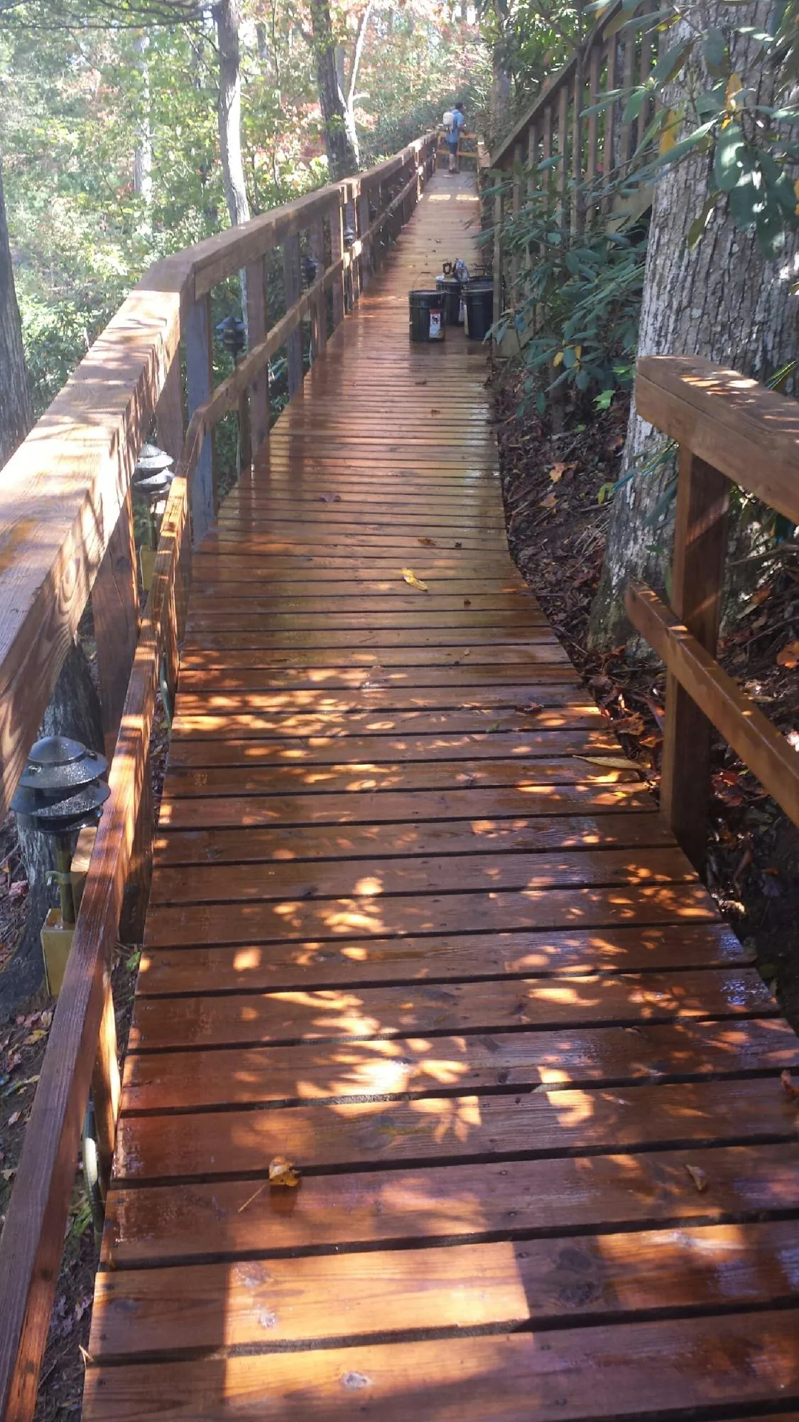 Freshly stained wood walkway winding through the woods in Warren